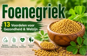 Foenegriek: 13 Benefits, Uses & Side Effects Foenegriek