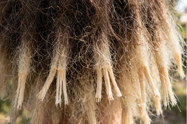 What is high porosity hair with frizzy, dry, split ends